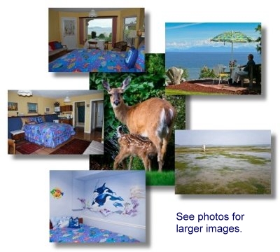 Collage showing Orca View Suite and Grounds